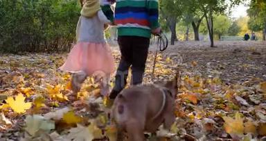 <strong>兄妹</strong>俩在秋天公园里用黄色树叶慢动作跑着，一对夫妇手里拿着背光
